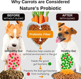 Vitaminas Deshidratado de zanahorias de perro