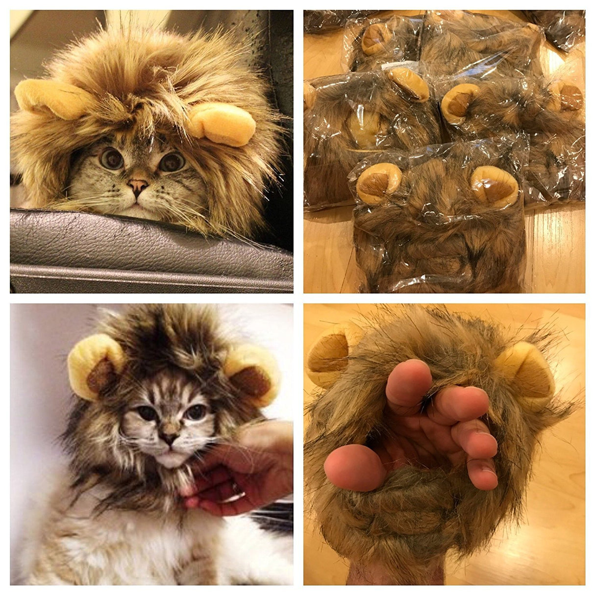 Disfraz para mascota