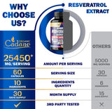 Suplemento de resveratrol prémium de 25450 mg Organic Cadane