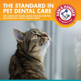 Kit dental para mascotas para gatos Elimina el mal aliento