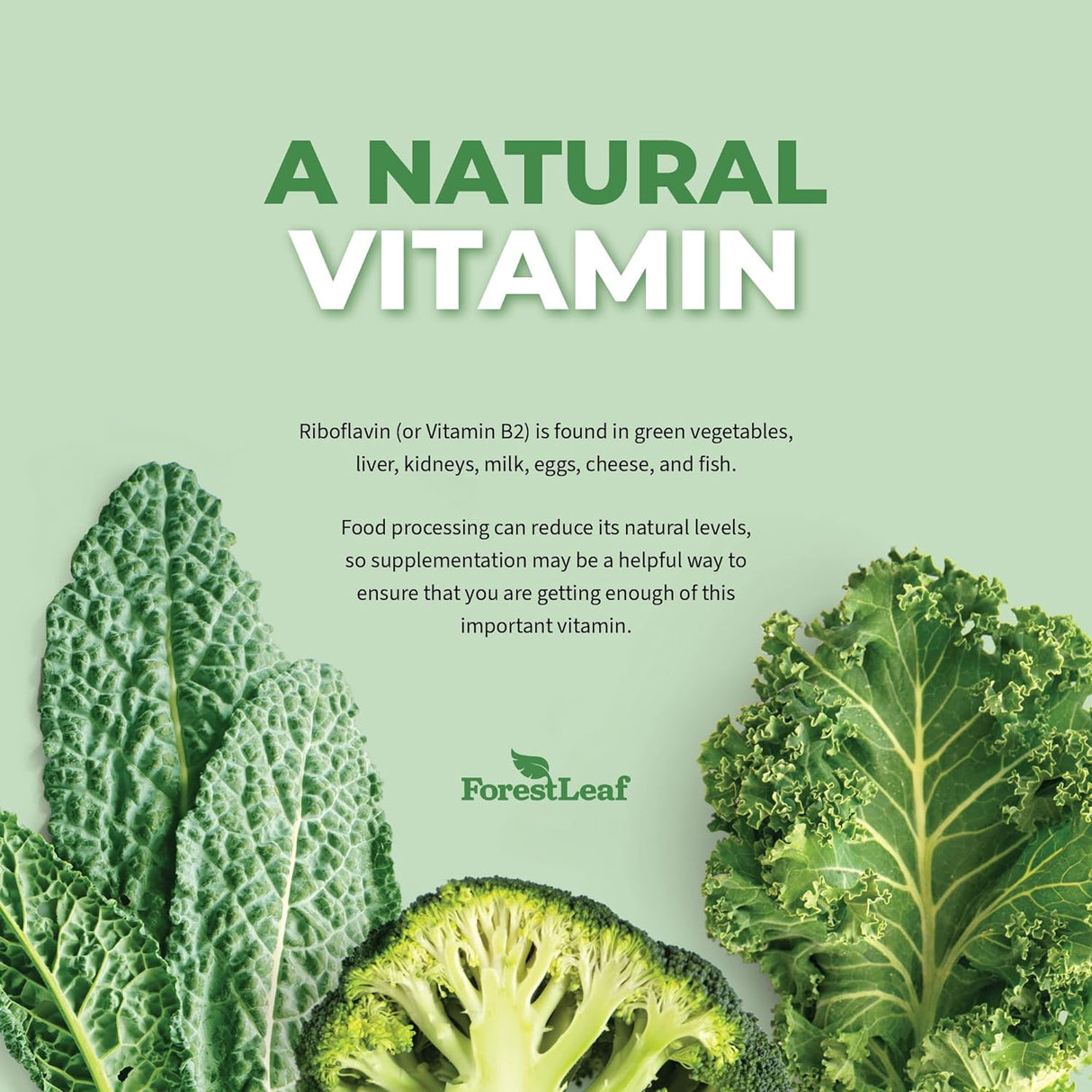 Suplemento  Riboflavina de vitamina B2 sistema nervioso 90u