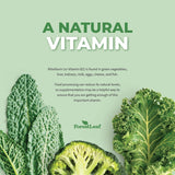 Suplemento  Riboflavina de vitamina B2 sistema nervioso 90u
