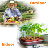 Semillas de Vegetales Herencia - 1000 Semillas No-GMO Survival