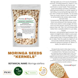 Semillas de Moringa 1 lb. WINGLESS, 100% Natural, PKM1