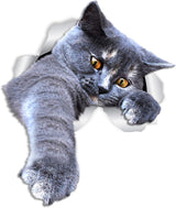 Pegatinas de Gato Winston & Bear - 2 Pack, 3D y Decorativas