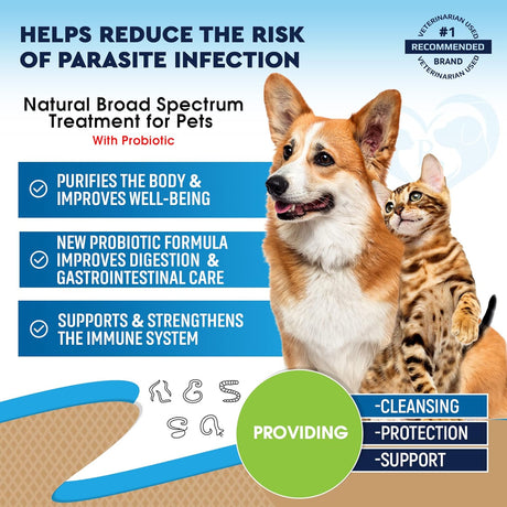 Suplementos natural para gatos con probióticos