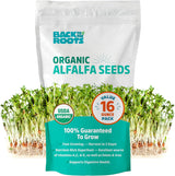 Semillas de Alfalfa 100% Orgánicas Back to the Roots 1 Libra