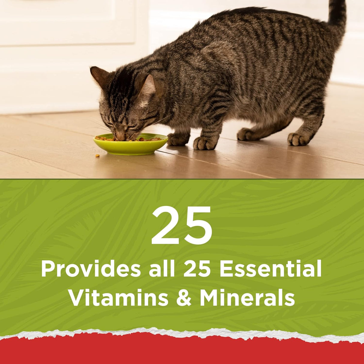 Purina Cat Chow Naturals - Alimento seco para gatos con vitaminas, minerales y nutrientes añadidos, Naturals Original - Bolsa de 12.6 libras (paquete de 4)