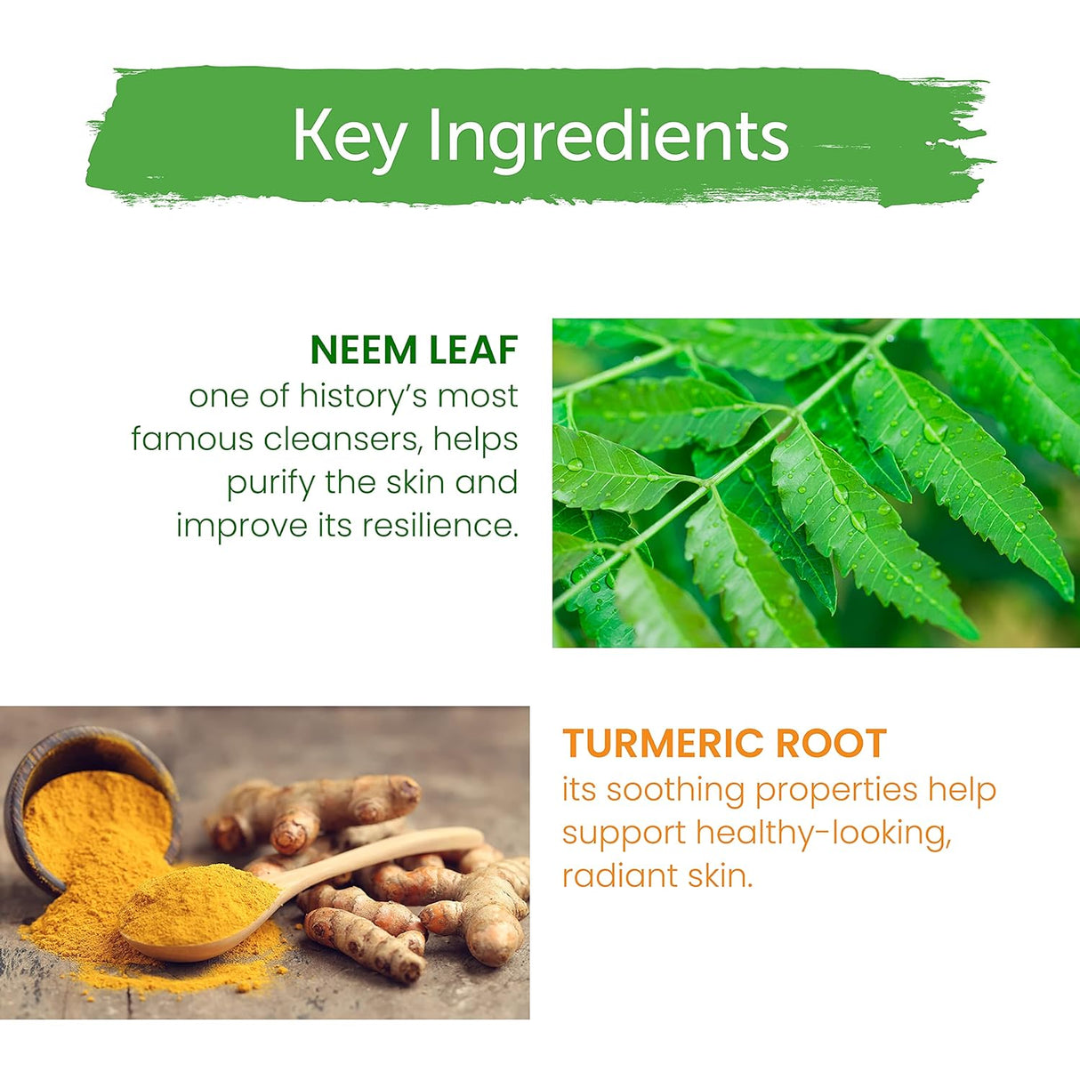 Lavado Facial de Neem y Cúrcuma para Piel Grasa, Vegano