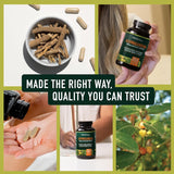 Suplemento Ashwagandha 1300mg, Adaptógeno, 120 cápsulas