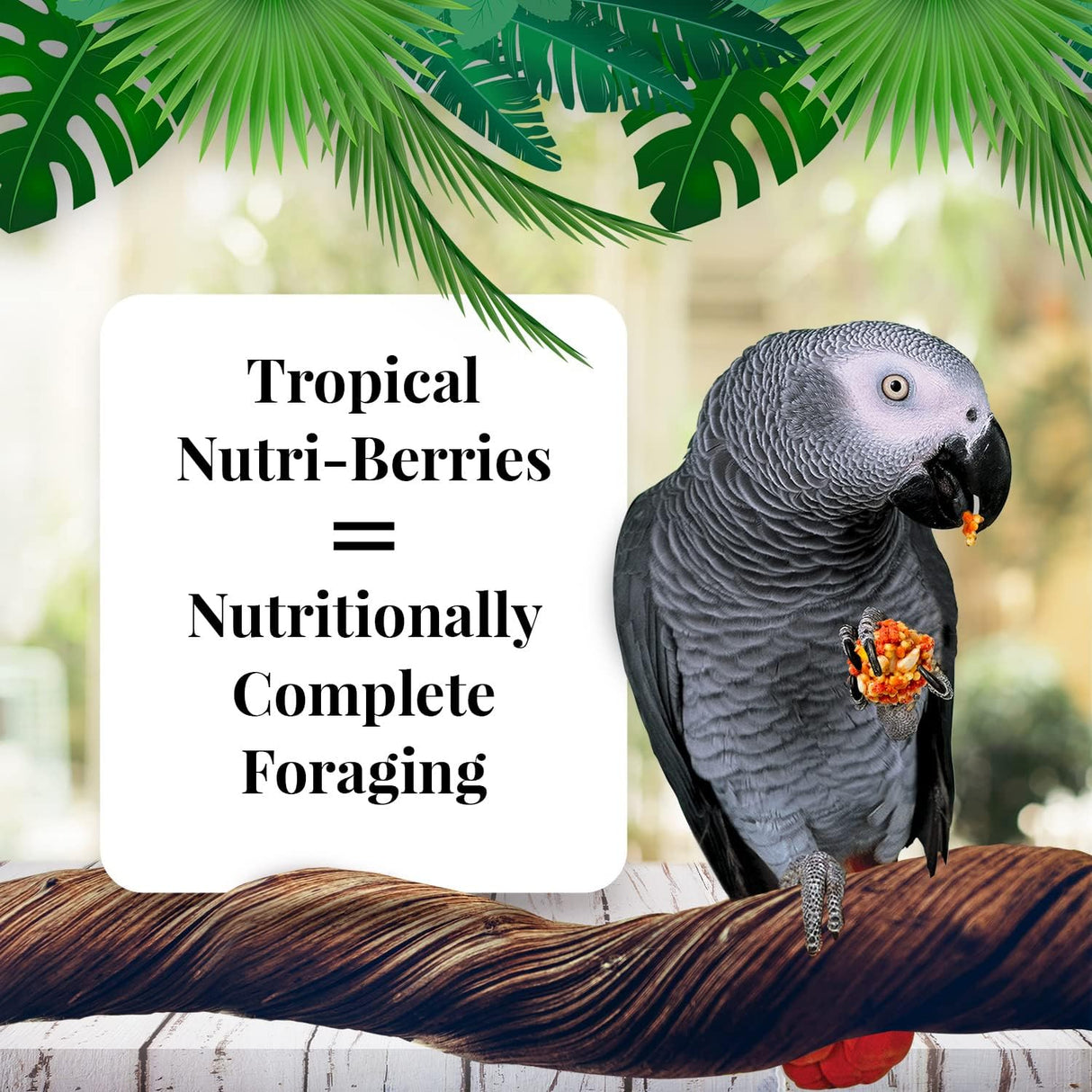 LAFEBER&#39;S Tropical Fruit Nutri-Berries Alimento 3 libras
