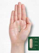 Suplemento de Nopal Carlyle 1950 mg | 180 Cápsulas Sin Gluten