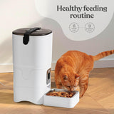 Comedero Automático para Gatos - 6L, Control de Porciones, LCD