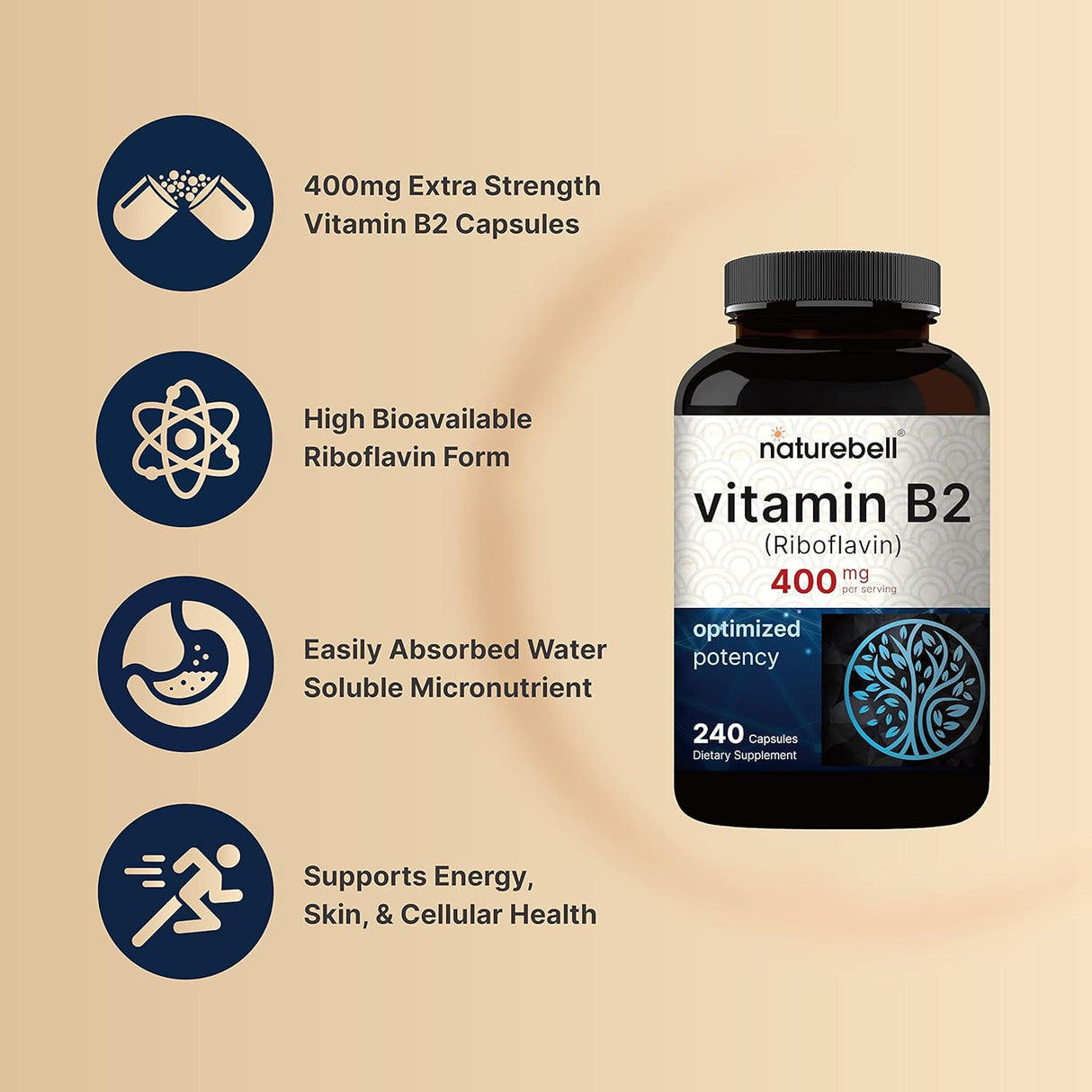 Suplemento Vitamina B2 Riboflavina 400 mg por  240 cápsulas