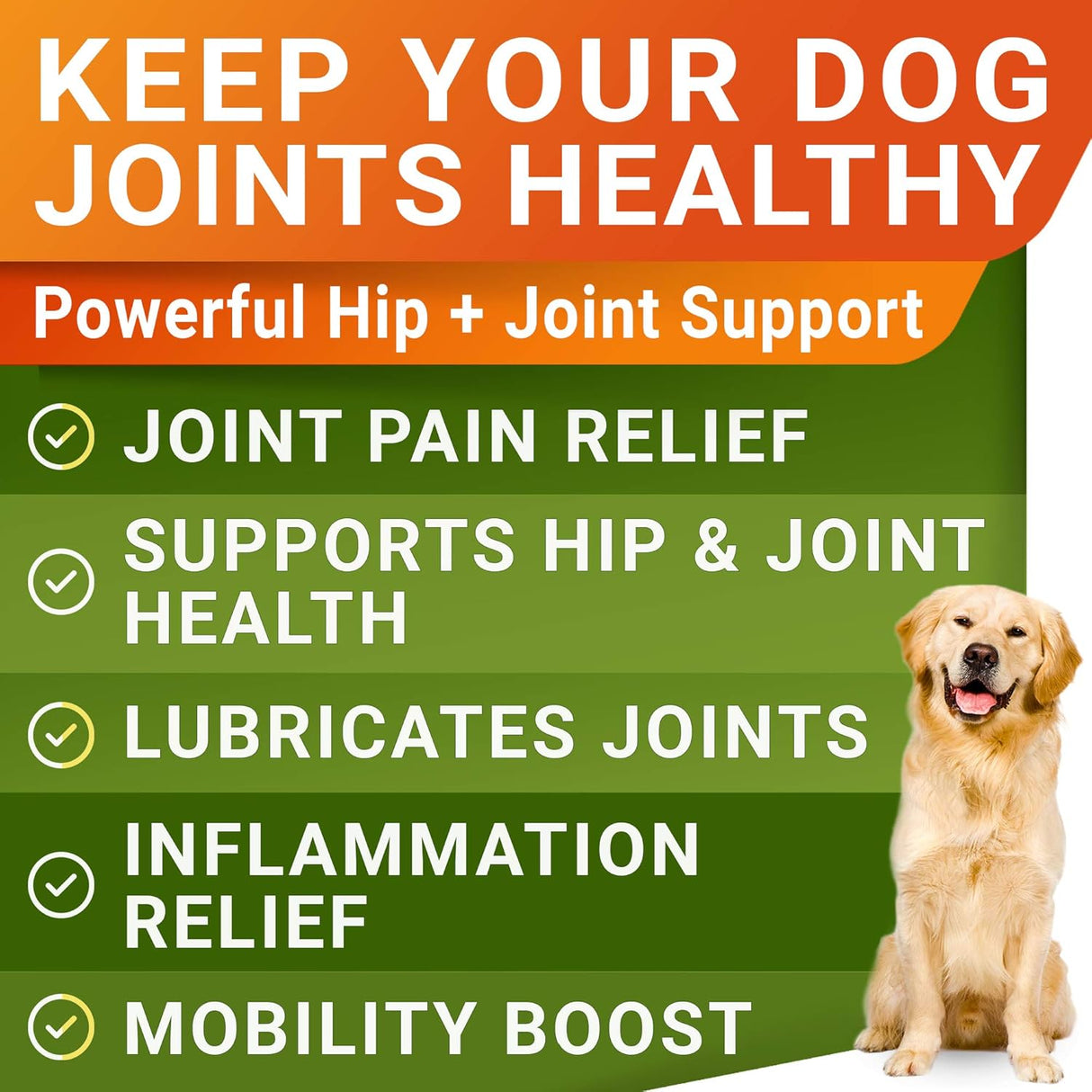 Suplemento de Glucosamina para Perros - 120 Chews - USA