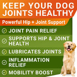 Suplemento de Glucosamina para Perros - 120 Chews - USA
