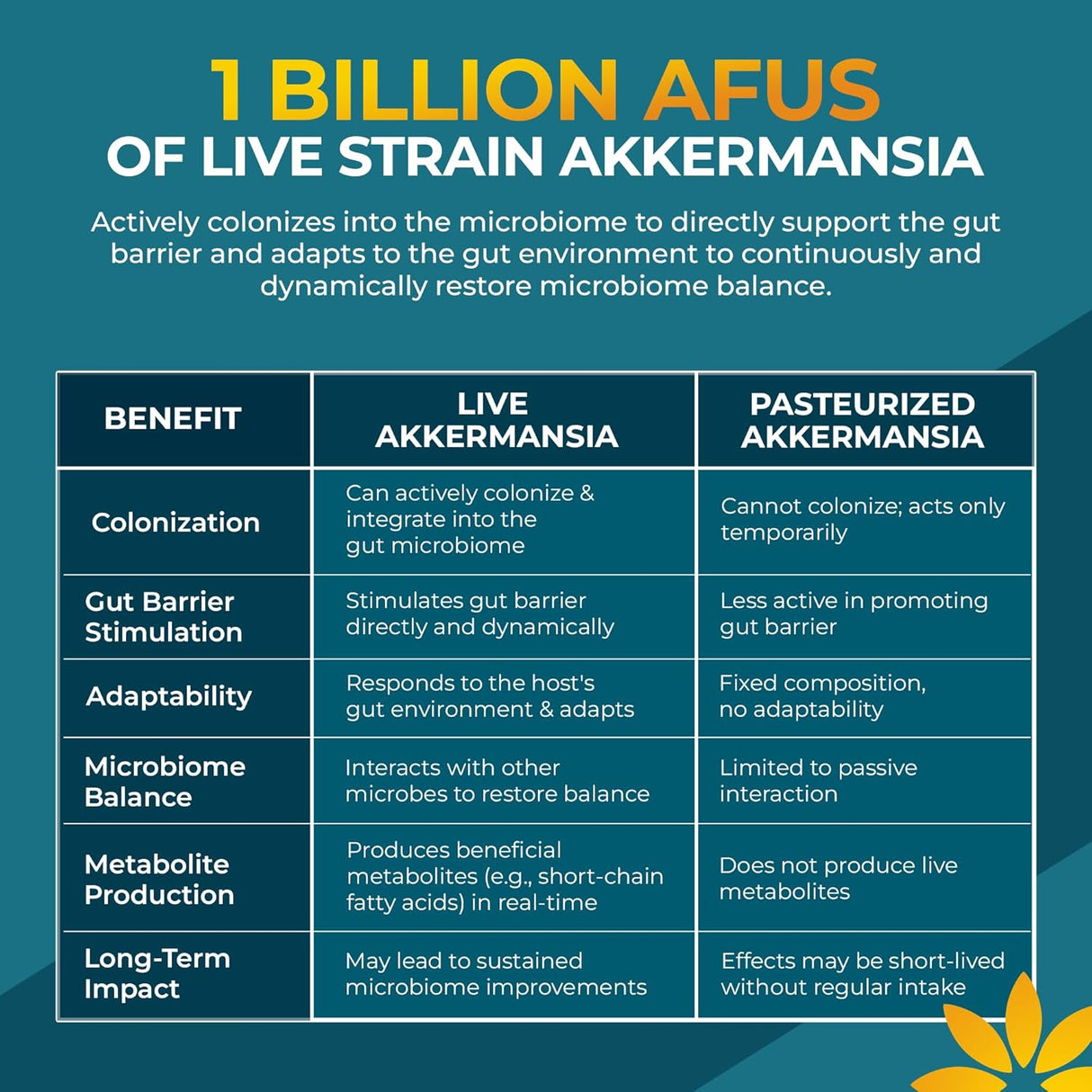 Akkermansia Probiótico, Apoyo Digestivo y Microbioma, 1B AFUs, 30 caps