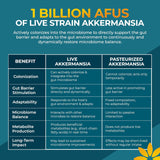 Akkermansia Probiótico, Apoyo Digestivo y Microbioma, 1B AFUs, 30 caps