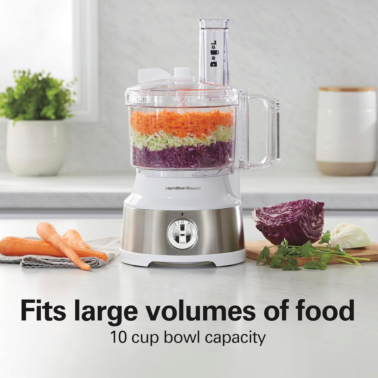 Procesador de Alimentos Hamilton Beach 10 Tazas, Modelo 70733