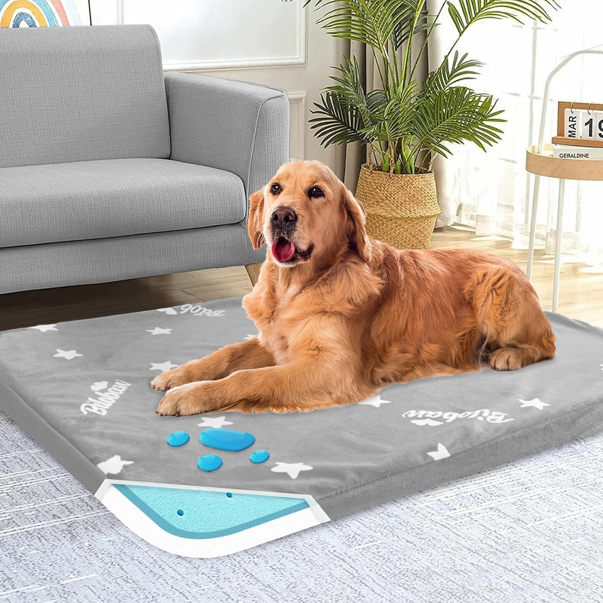 Cama ortopédica impermeable para perros grandes, memoria