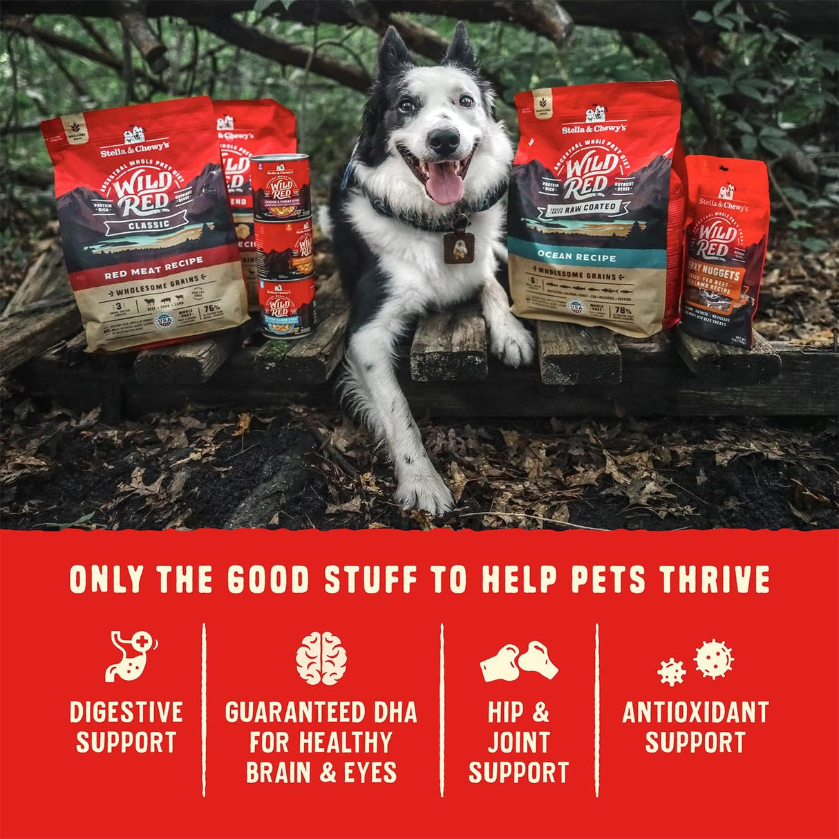 Alimento para perros Receta sin granos y sin legumbre