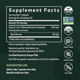 Suplementos Alimenticios  Suplemento de apoyo cerebral
