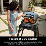 Parrilla y Ahumador 7 en 1 Bluetooth OG951 Woodfire XL