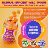 Suplementos de fibra prebiótica de cáscara de psyllium