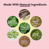 Té Detox para abdomen plano, 2 semanas, energía y digestión