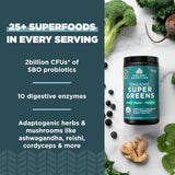 Polvo de Superfood con Probióticos y Enzimas Digestivas