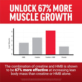 Force Factor Creatina HMB Polvo, 30 raciones