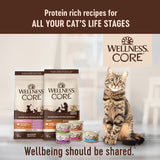 Alimento húmedo natural sin granos para gatos, paté de hígado