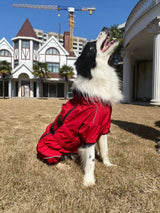 Chubasquero Perro, Reflectante, Impermeable, Talla XXL