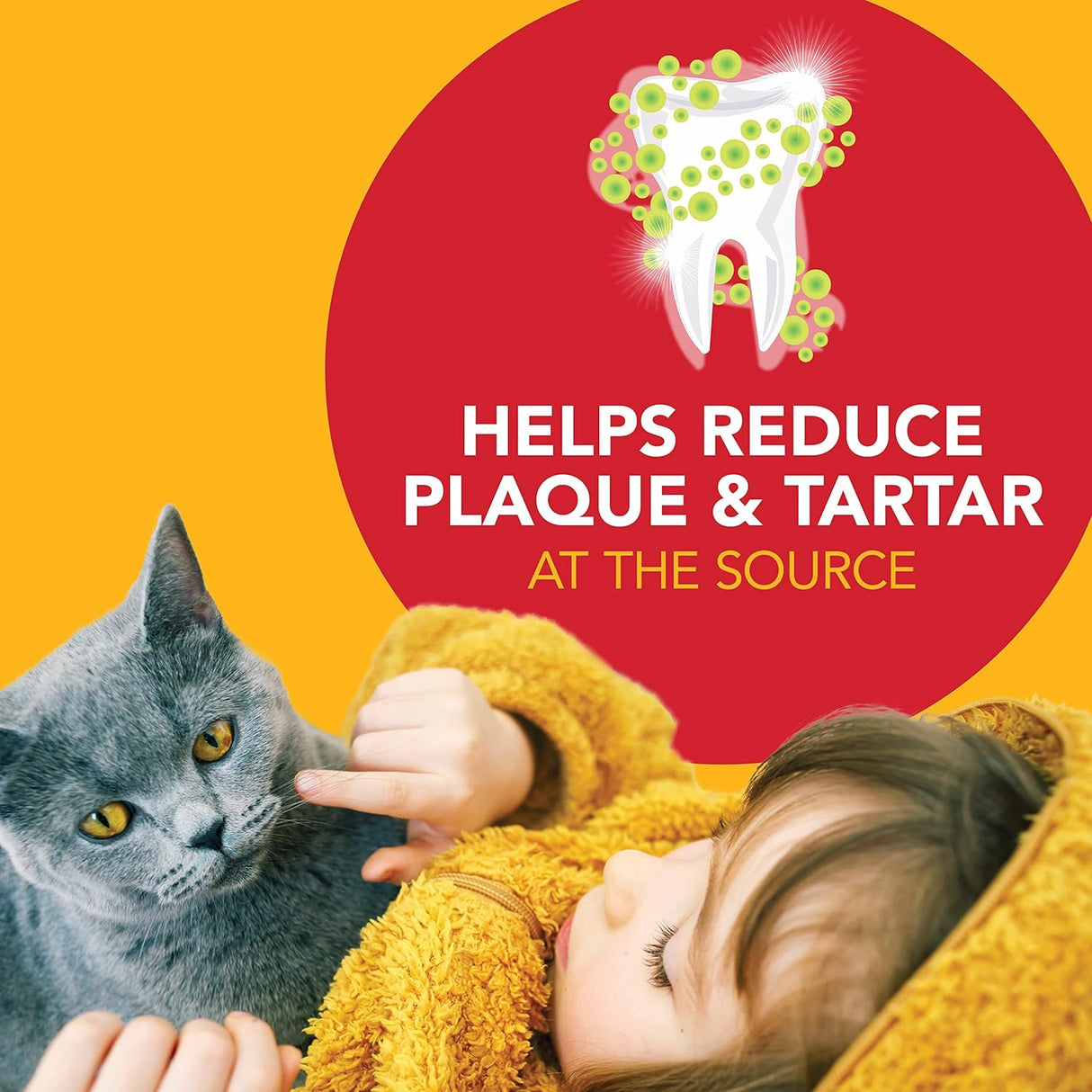 Kit dental para gatos pasta de dientes de malta