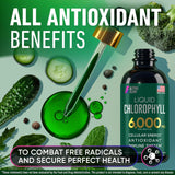 Suplemento Líquido de Clorofila 6000 mg - Antioxidante y Energía