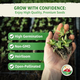 Semillas de Apio 52-70 de TKE Farms, No GMO, 2500+ semillas