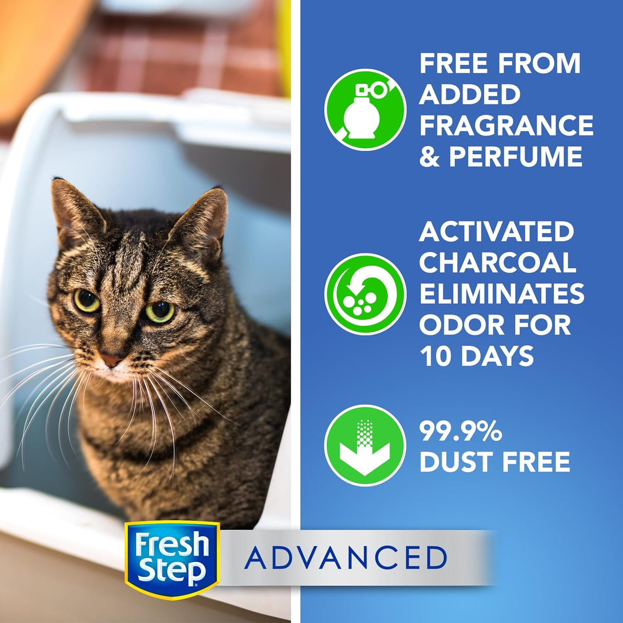 Arena para Gatos Aglomerante Avanzada Sin Aroma Extra Grande