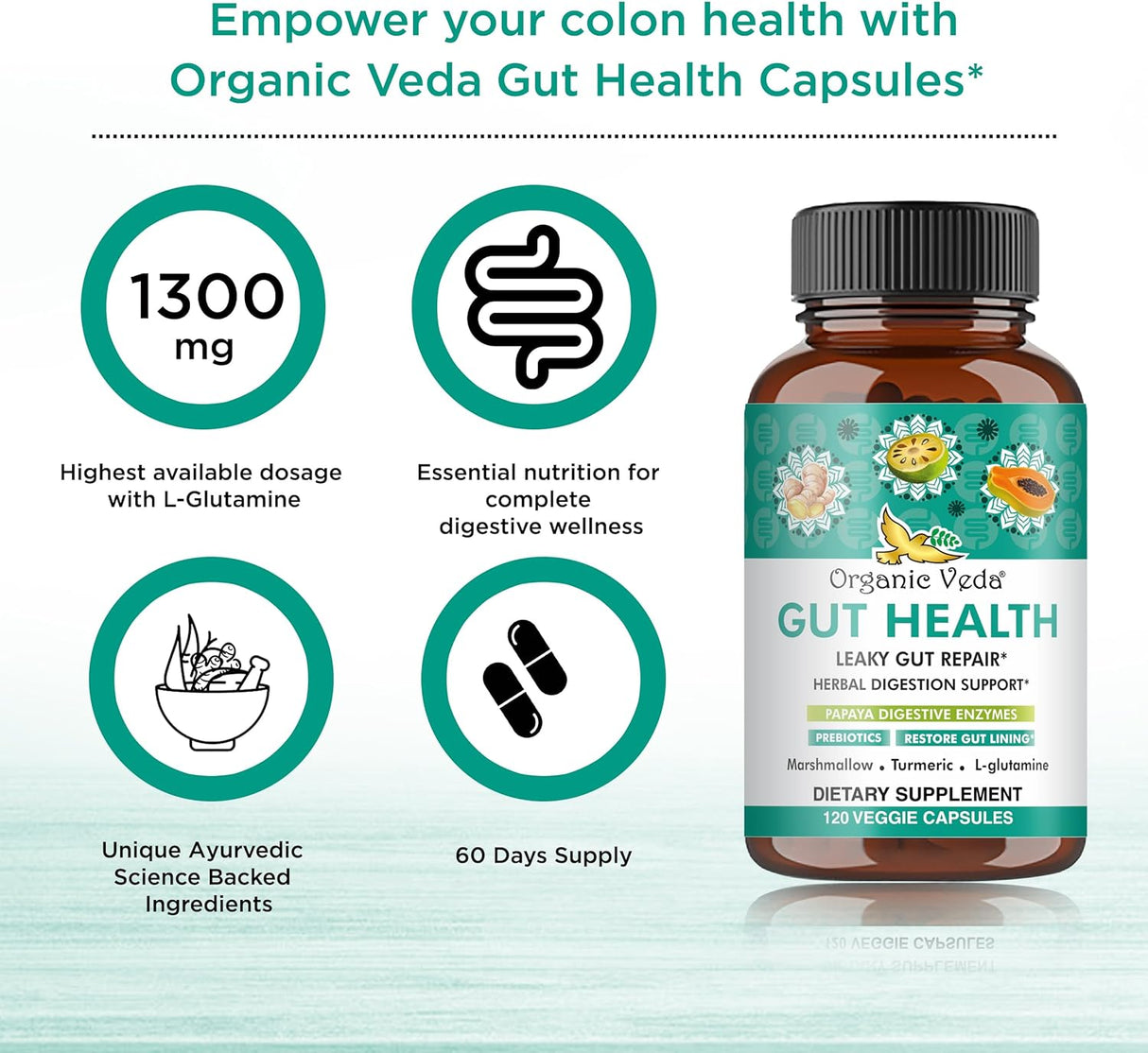 Suplemento para la Salud Intestinal con Enzimas y Prebióticos