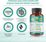 Suplemento para la Salud Intestinal con Enzimas y Prebióticos