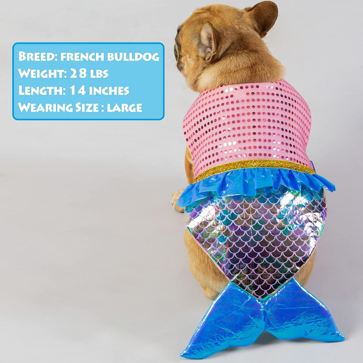 Disfraces de sirena para perro talla XS