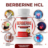 Suplemento de Berberina 1800mg - Alta Pureza, 90 Cápsulas