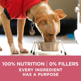 Purina ONE Comida Seca para Perros, Estómago Sensible, 31.1 lb.