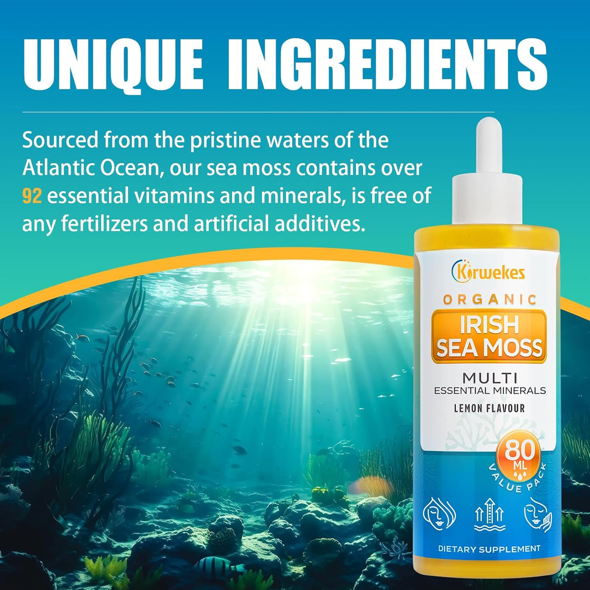 Sea Moss & Ashwagandha Drops - 80 Servings, 10X Potency