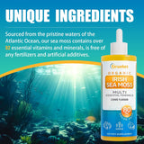 Sea Moss & Ashwagandha Drops - 80 Servings, 10X Potency
