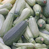 Semillas de Calabacín, No GMO, Heirloom, 25 Semillas