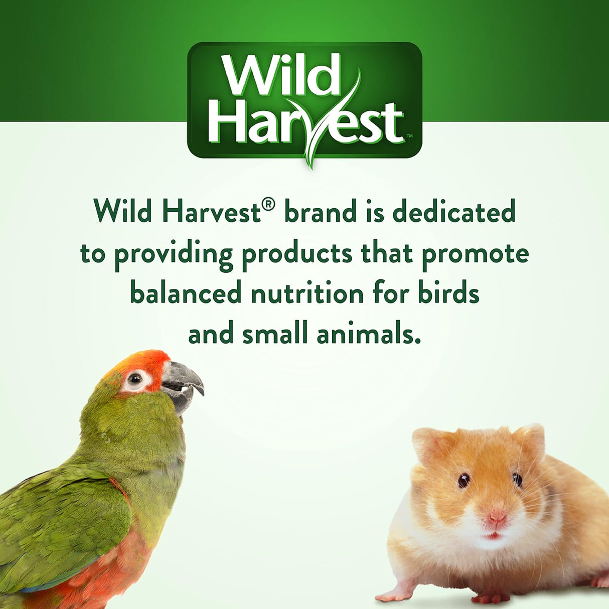 Wild Harvest P-A1907 Wh Mezcla diaria Perico alimento
