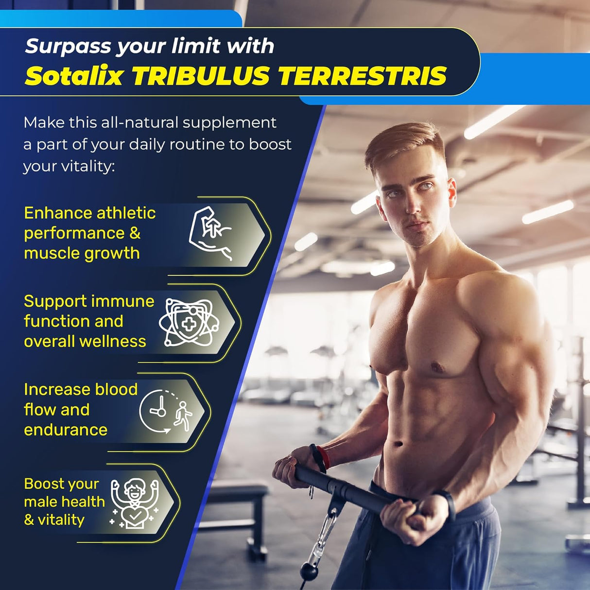 Suplementos Extracto de Tribulus Terrestris  90 unidades
