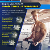 Suplementos Extracto de Tribulus Terrestris  90 unidades