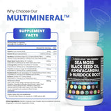Suplementos Musgo marino 3000 mg aceite de semilla negra