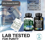 Suplemento Vitalidad: Shilajit y Sea Moss, 9000mg, 17500mg